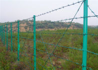 Drut kolczasty powlekany PVC Lowa Zielony płot zabezpieczający na ogrodzeniu z ogniwa łańcucha